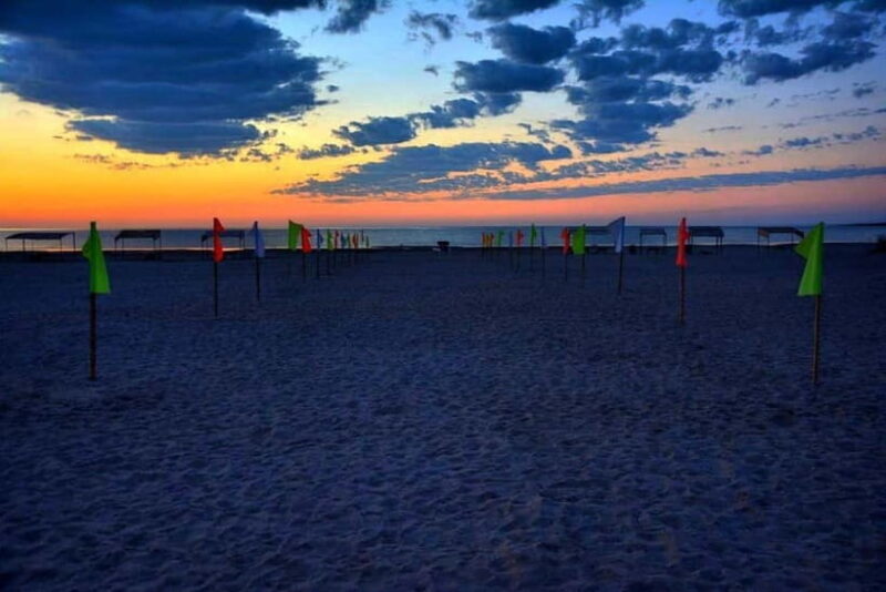 Desert Adventure from Samarkand: Yurt Camp & Aydarkul Escape - Practical Considerations: Is This Tour for You?