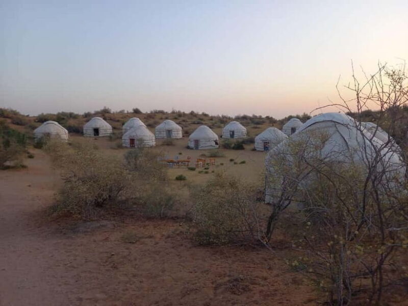 Desert Adventure from Samarkand: Yurt Camp & Aydarkul Escape - The Experience from Past Travelers’ Perspectives