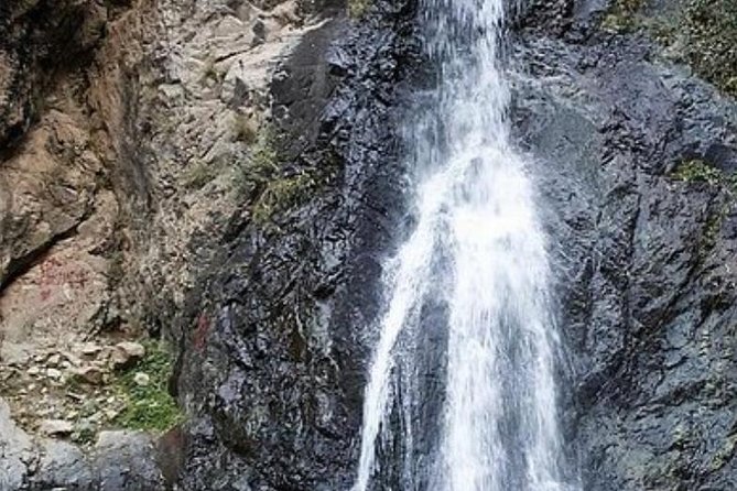 Desert Agafay and Atlas Mountains & Camel Ride Day Trip From Marrakech - Tour Highlights