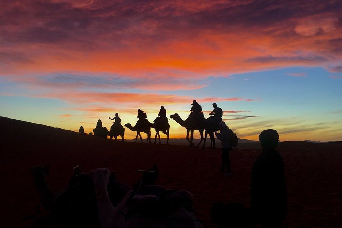 Desert Agafay and Atlas Mountains & Camel Ride Day Trip From Marrakech - The Sum Up