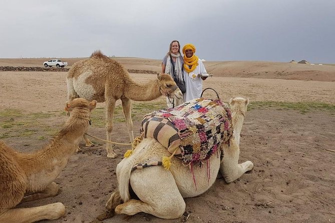 Desert Agafay and Atlas Mountains & Camel Ride Day Trip From Marrakech - Traveler Recommendations