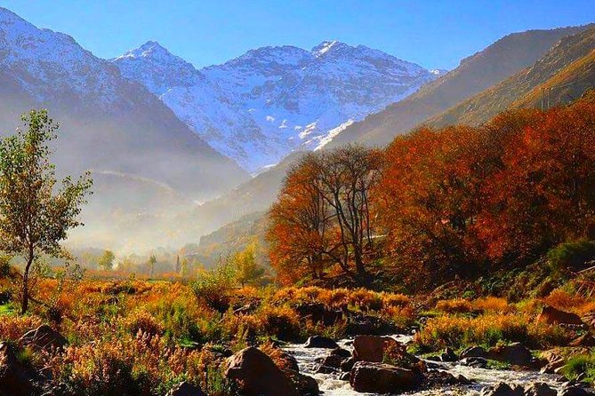 Desert Agafay and Atlas Mountains & Camel Ride Day Trip From Marrakech - Tour Overview