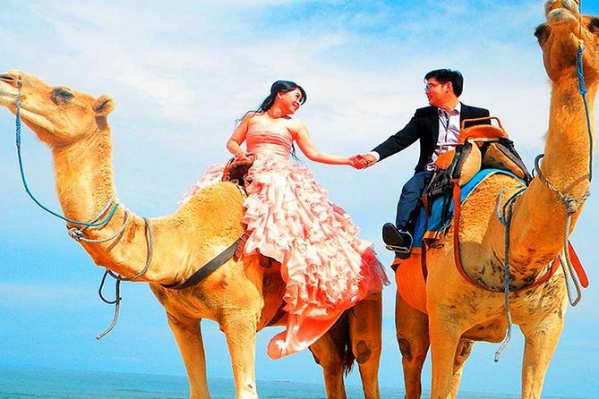 Desert Agafay, Atlas Mountains and Camel Ride Day Trip From Marrakech - Tour Providers and Communication