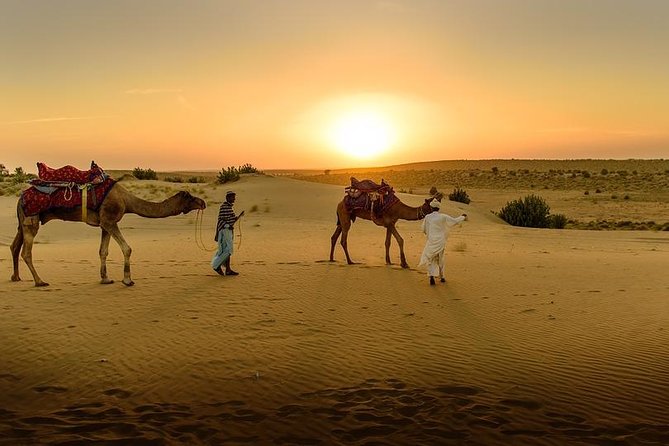 Desert Agafay & Atlas Mountains, Valleys & Waterfalls Tour From Marrakech - The Sum Up