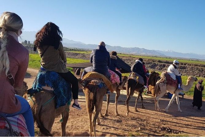 Desert Agafay & Atlas Mountains & Waterfalls & Valleys: Day Trip From Marrakech - Activity Inclusions