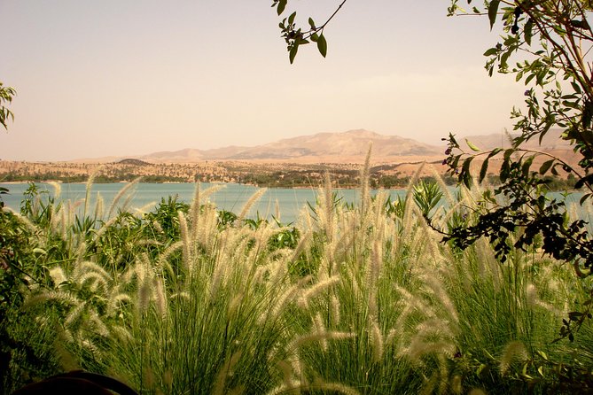 Desert Agafay & Atlas Mountains With Camel Ride Day Trip From Marrakech - Customer Reviews