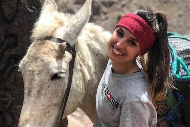 Desert Agafay Day Trip From Marrakech and Atlas Mountains & Camel Ride - Trip Highlights