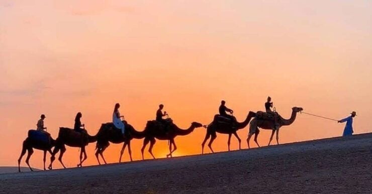 Desert Agafay Dinner at Nomad Camp and Camel Ride - Booking Details