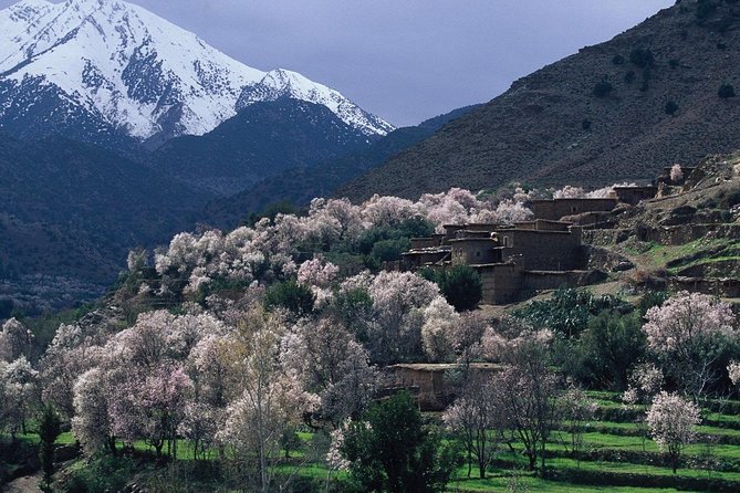 Desert Agafay & Ourika Valley Atlas Mountains Full Day Trip - Berber Villages
