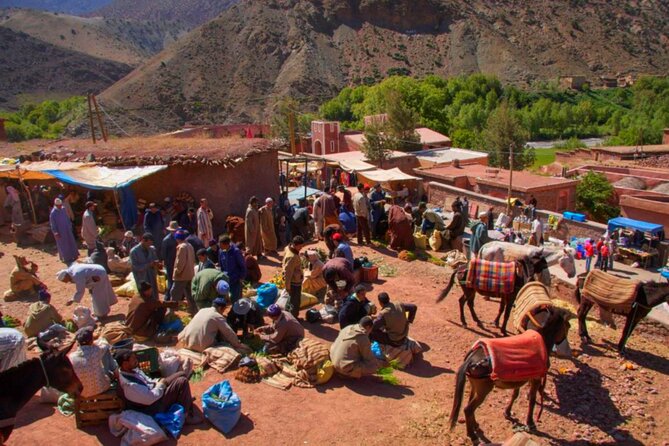Desert Agafay & Waterfalls & Atlas Mountains Camel Ride Day Trip From Marrakech - Camel Ride in the Atlas Mountains