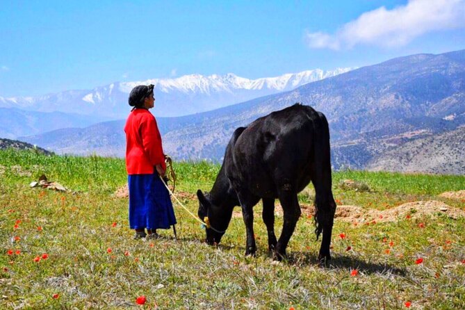 Desert Agafay & Waterfalls & Atlas Mountains Camel Ride Day Trip From Marrakech - Common Questions