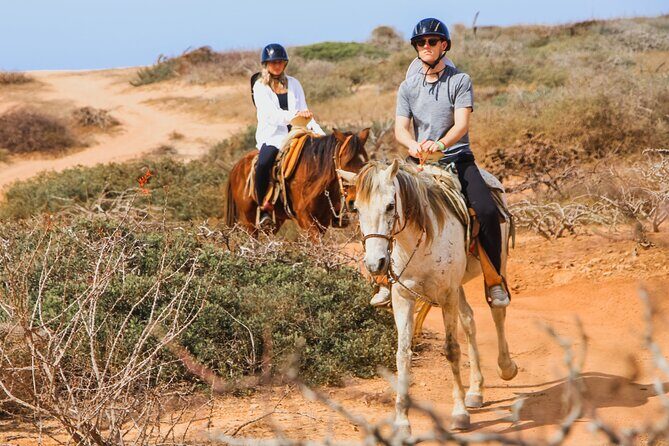 Desert and Beach Horseback Riding Experience in Cabo - The Experience: A Step-by-Step Breakdown