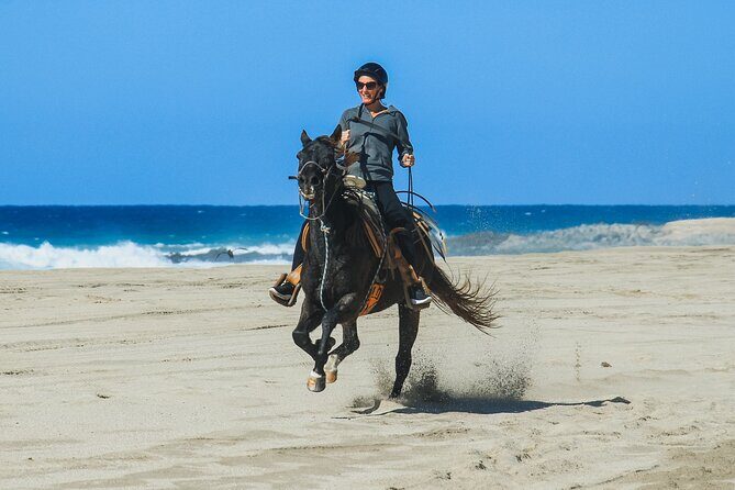 Desert and Beach Horseback Riding Experience in Cabo - Frequently Asked Questions