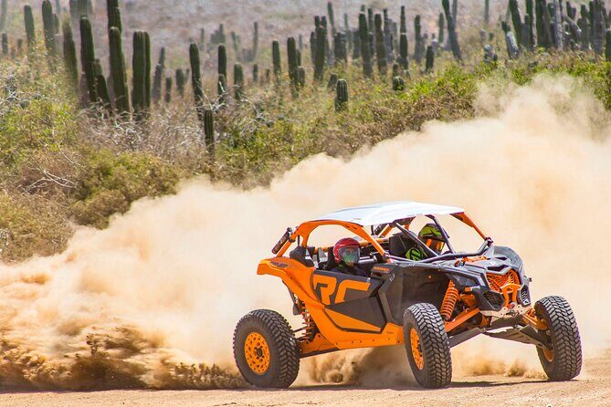 Desert and Beach Off Road Tour in Cabo San Lucas - FAQ