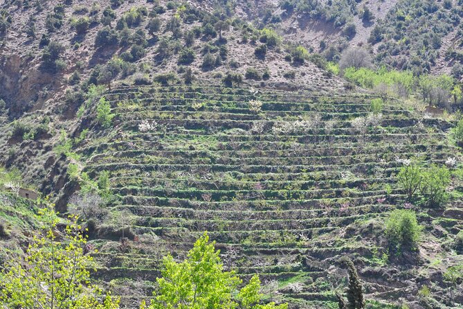 Desert and High Atlas Adventure From Marrakech - Good To Know