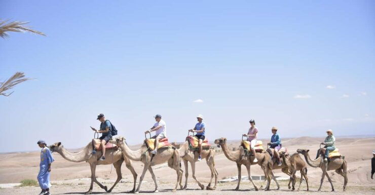 Desert and Mountain Exploration With Camel Riding Plus Tea - Overview of Desert and Mountain Exploration