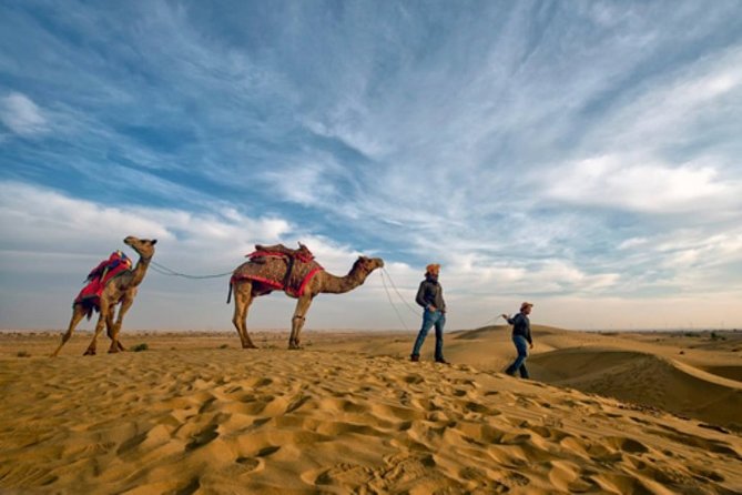 Desert Camel Safari Day Tour In Jodhpur - Tour Highlights