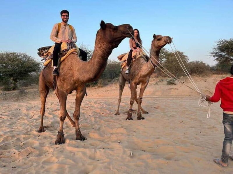 Desert Camel Safari Day Trip From Jodhpur - Exploring the Details of the Desert Camel Safari