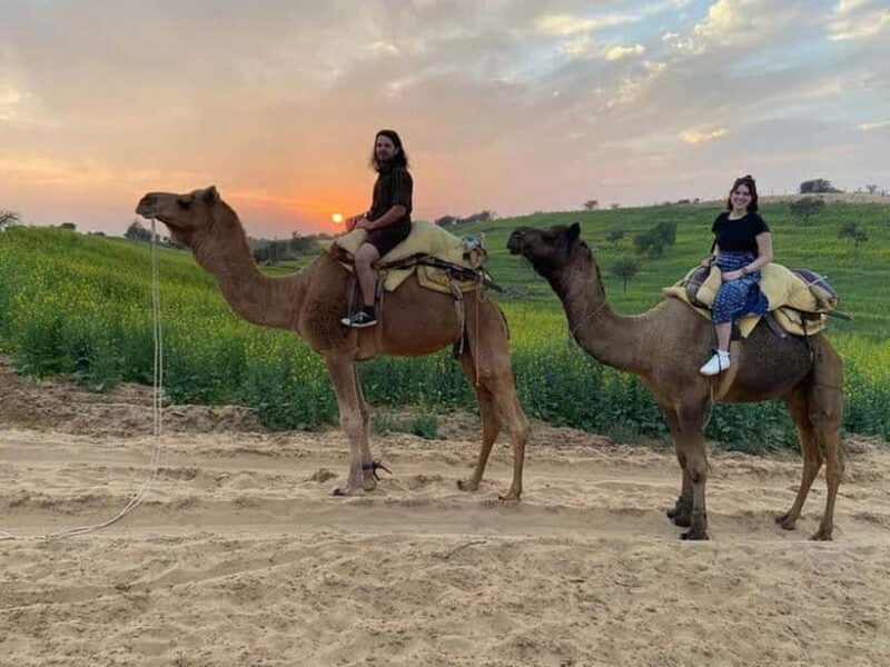 Desert Camel Safari Day Trip From Jodhpur - Who Is This Tour Best Suited For?
