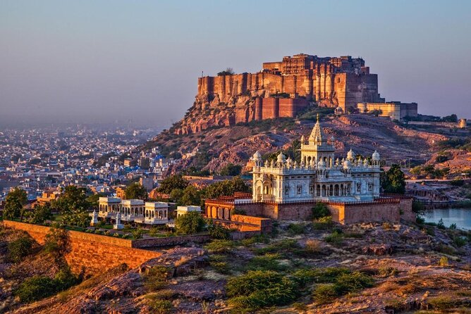 Desert Camel Safari & Jeep Safari Tour From Jodhpur  - Tour Pricing and Booking Details
