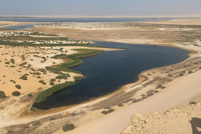 Desert Camping and Valley of Whales Tour in the Egypt Desert (Feb ) - Tour Highlights