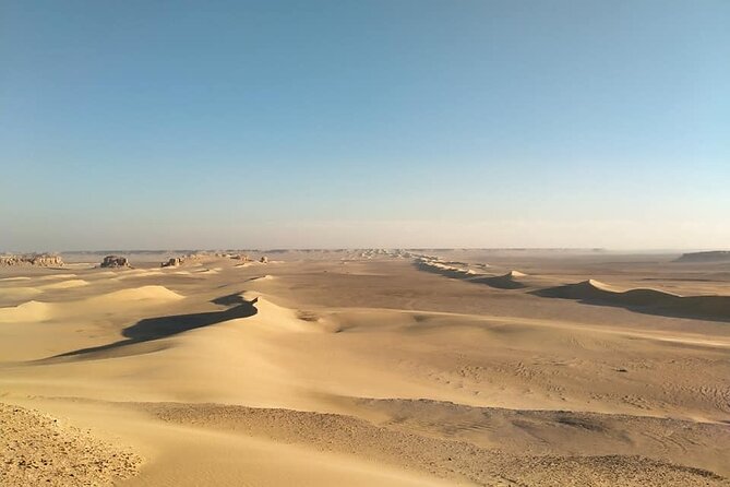 Desert Camping and Valley of Whales Tour in the Egypt Desert (Feb ) - Traveler Reviews