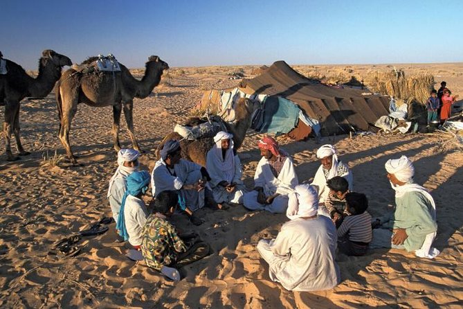 Desert Camping With The Bedouins Under The Stars - White & Black Deserts - Experience the Majestic White Desert