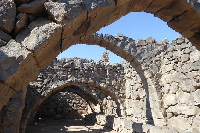 Desert Castles of Jordan Private Full-Day Tour From Amman - Driver Service Description