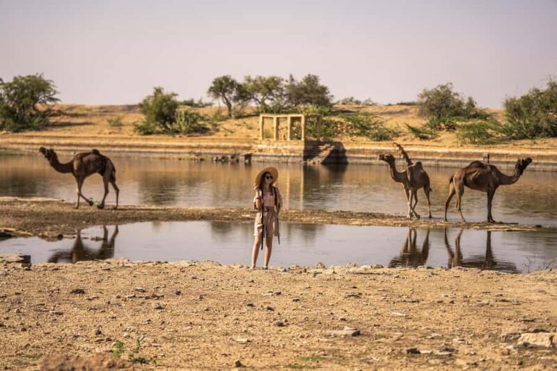 Desert Cultural Evening (No Camel) : Kalbelia & Sufi Fusion - A Deep Dive into the Desert Cultural Evening Experience