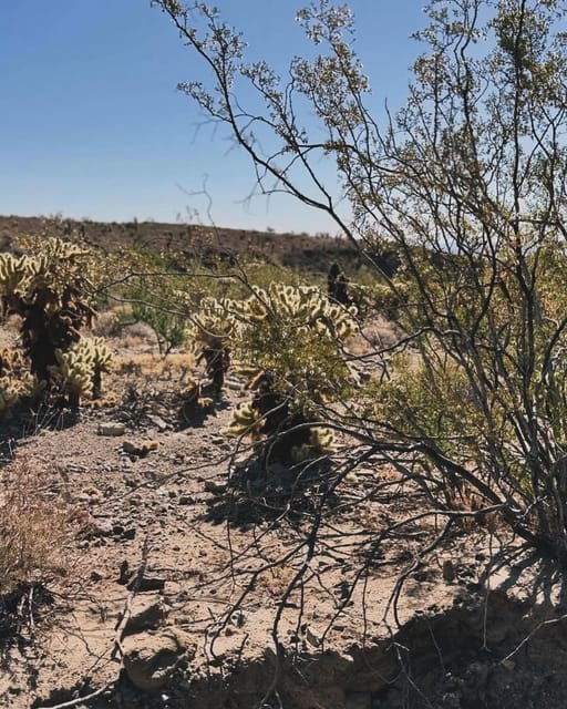 Desert Den Canvas Tent for 2 - Transportation and Accessibility