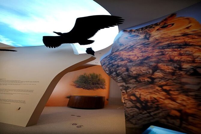 Desert Discovery Adventure in Dubai - Overview and Experience