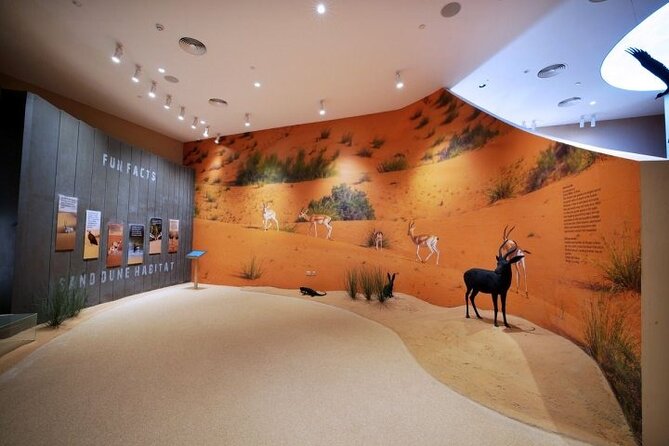 Desert Discovery Adventure in Dubai - Inclusions and Duration