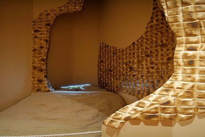 Desert Discovery Adventure in Dubai - Meeting and Pickup