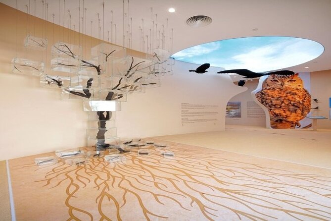 Desert Discovery Adventure in Dubai - Additional Information and Restrictions