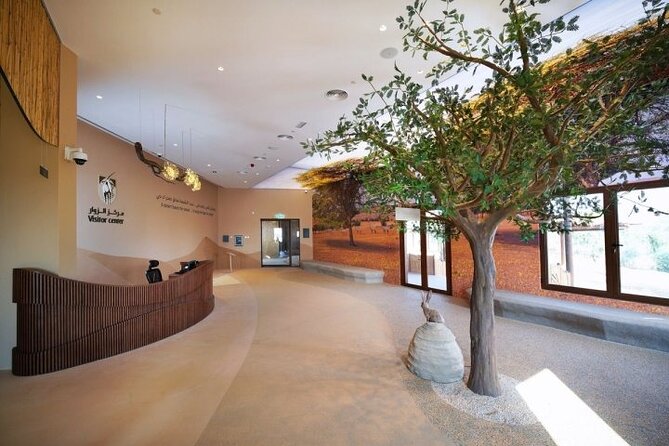 Desert Discovery Adventure in Dubai - The Sum Up