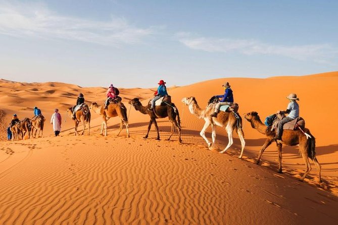 Desert Dreams Marrakech to Merzouga 3-Day Adventure - Booking and Availability