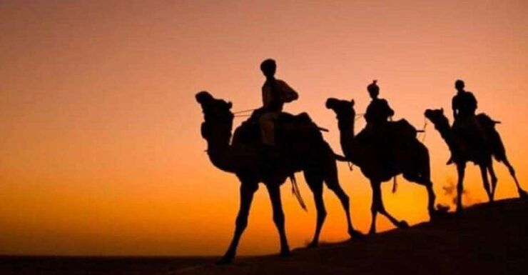 Desert Eagle Safari : Peaceful & Amazing Desert Experience - Experience Itinerary