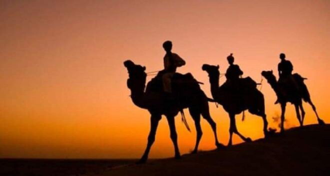 Desert Eagle Safari : Peaceful & Amazing Desert Experience - Inclusions
