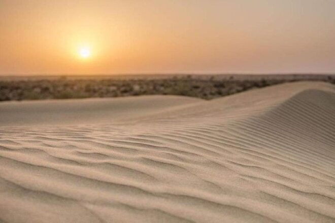 Desert Eagle Safari : Peaceful & Amazing Desert Experience - Not Included