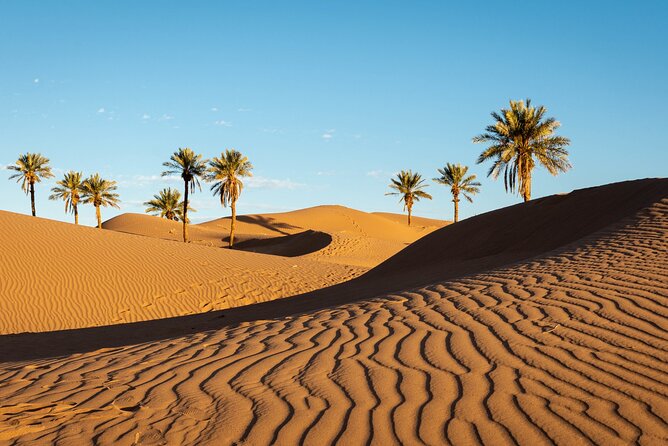 Desert Erg Chigaga Trip From Marrakech: 3 Days - Good To Know