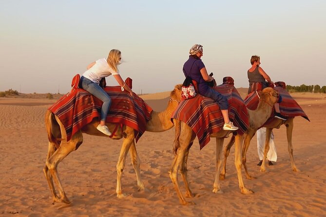 Desert Excursion With Typical Dinner and Arab Dance Show - Questions and Support