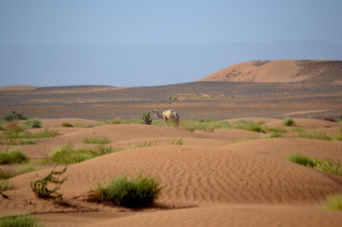 Desert Experience: 6-Day Jeep Tour Southern Morocco - Itinerary Highlights
