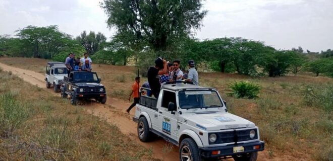 Desert Jeep Safari & Camel Safari Tour From Jodhpur - Camel Safari Tour