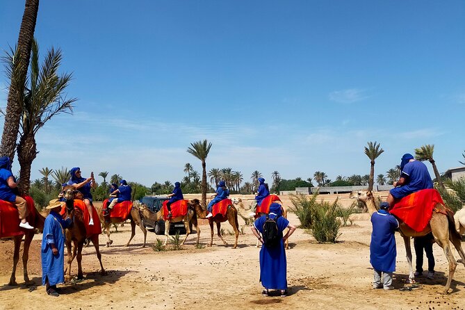 Desert Oasis Adventure: Camel Ride in Marrakechs Palm Grove - The Sum Up