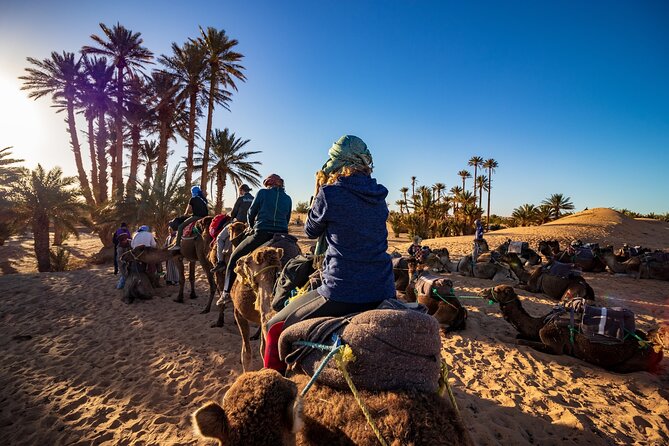 Desert Odyssey: 2 Days _ Marrakech to Merzouga Expedition - Itinerary Highlights