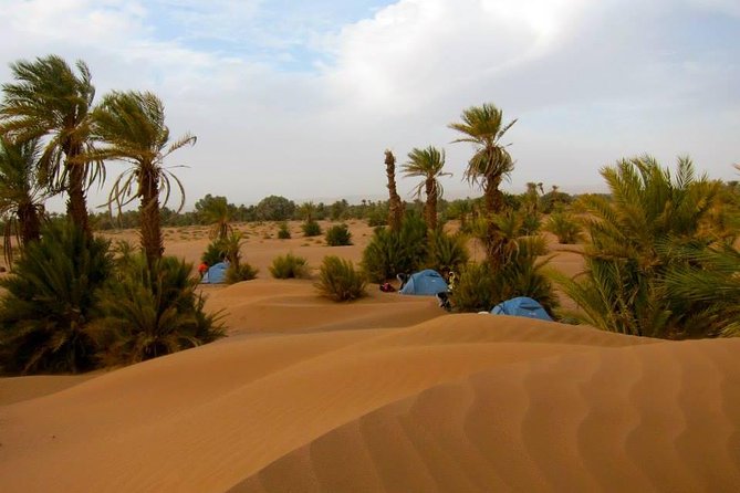 Desert Odyssey: a 2-Day Journey From Marrakech to Zagora - Itinerary Highlights