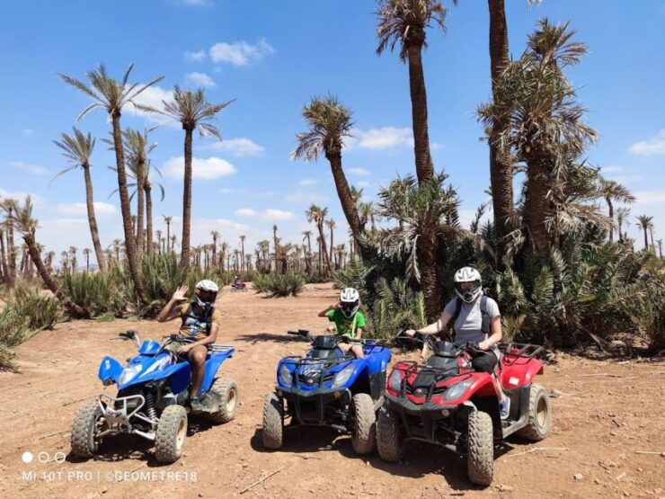 Desert of the Palm Grove of Marrakech: Discover in Quad - Experience Highlights