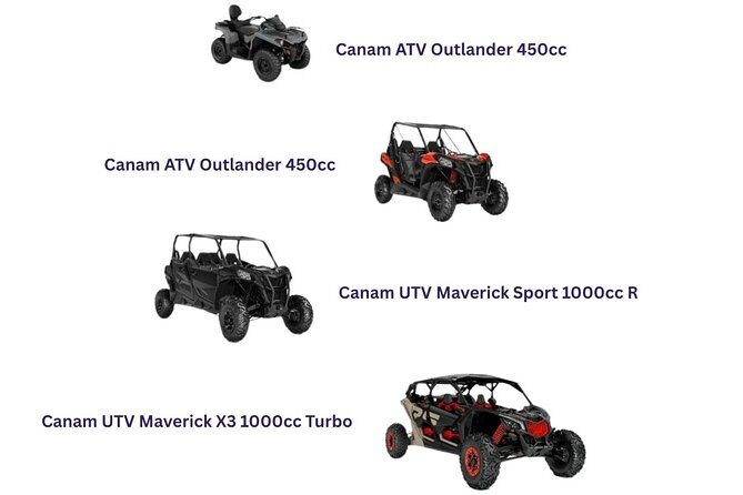 Desert Off Road Adventure Tour in La Paz - Why This Tour Is Worth Considering