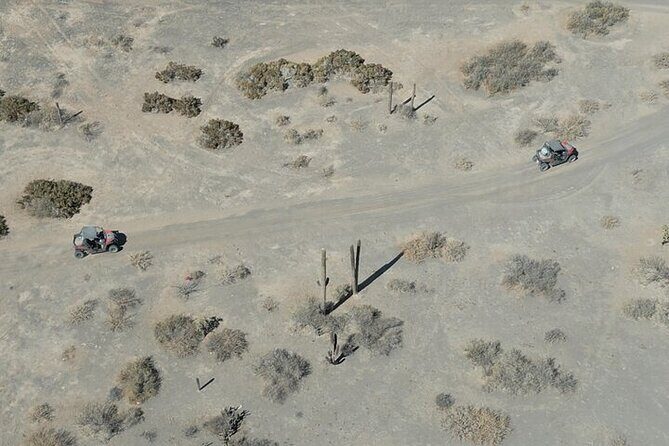 Desert Off Road Adventure Tour in La Paz - FAQ