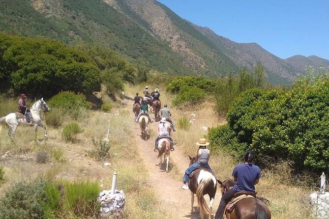 Desert Peaks on Horseback, Exploring Mountain Trails of Ensenada - Pricing and Booking Details